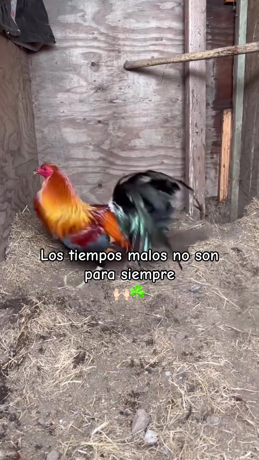 @Los tres pilones