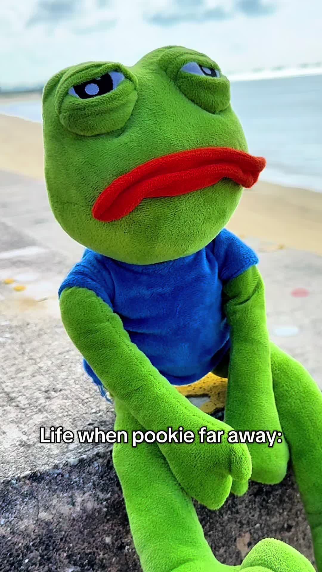 @AdoptAPepe