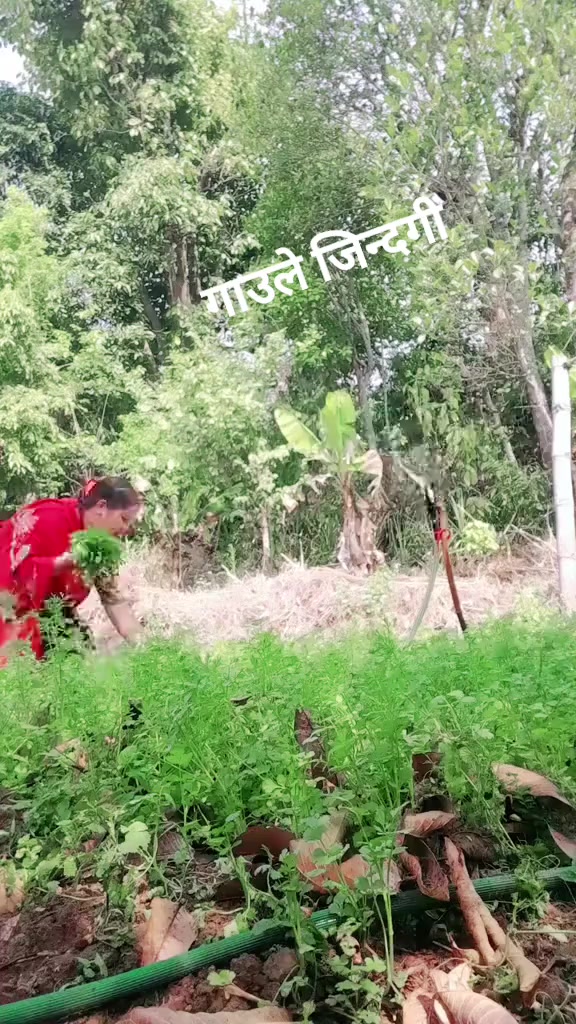 @Bishnumayabhat