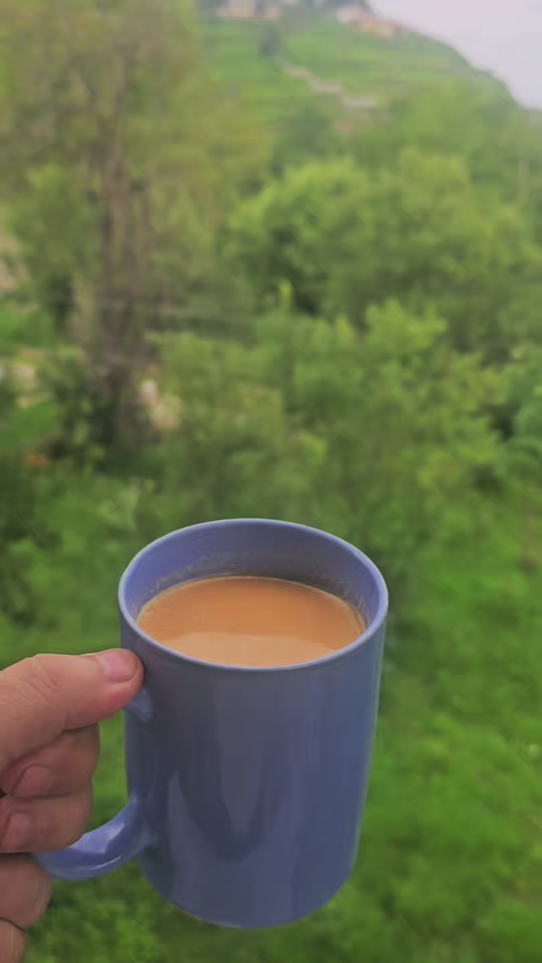 @ₒᵣdᵢₙₐᵣy⛰️ₜᵣₐᵥₑₗₗₑᵣ