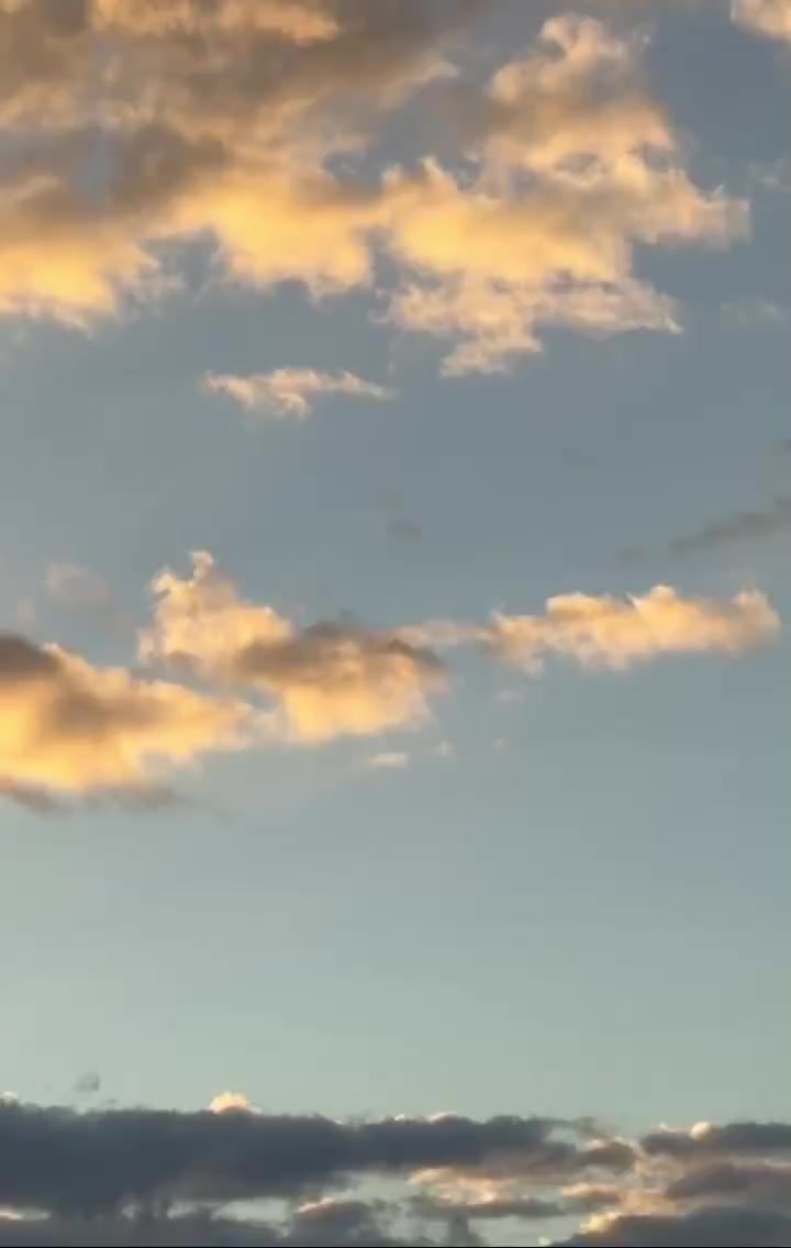 @🐬🐬あいか🐬🐬🌵
