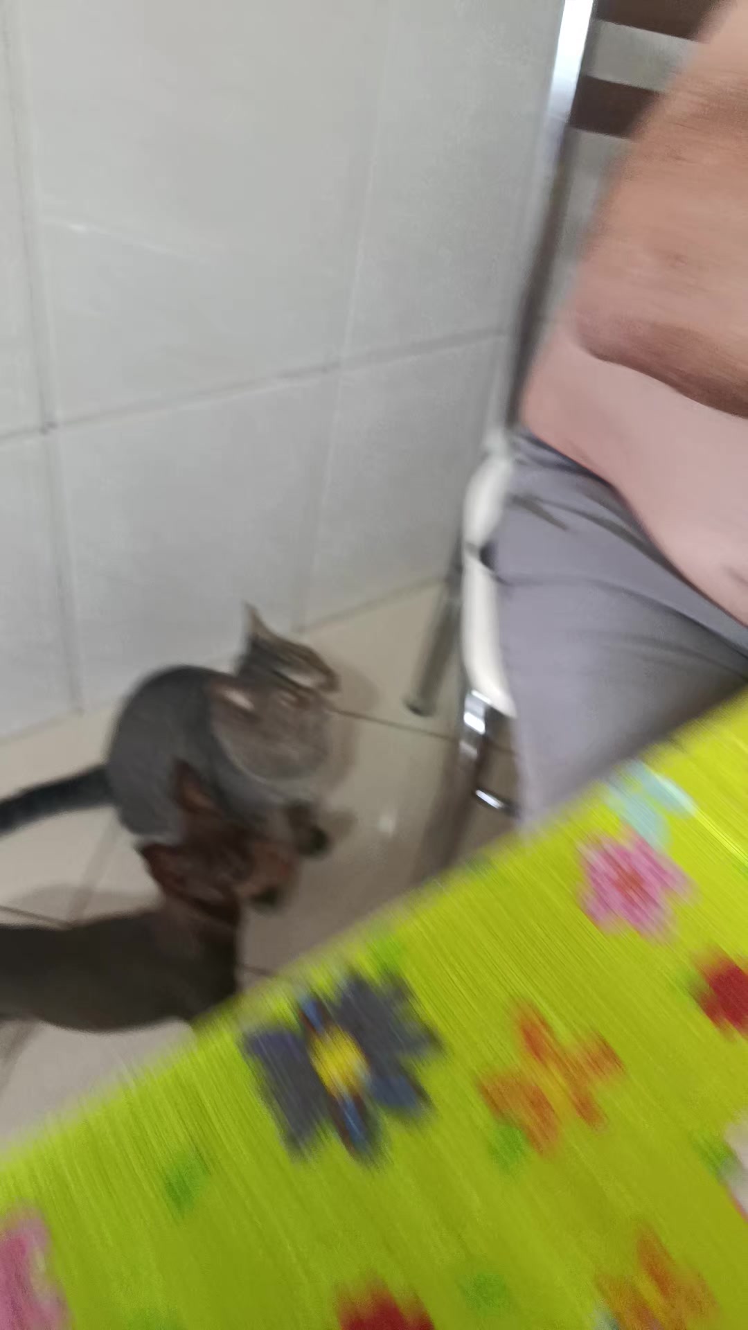 @Juliana Barros