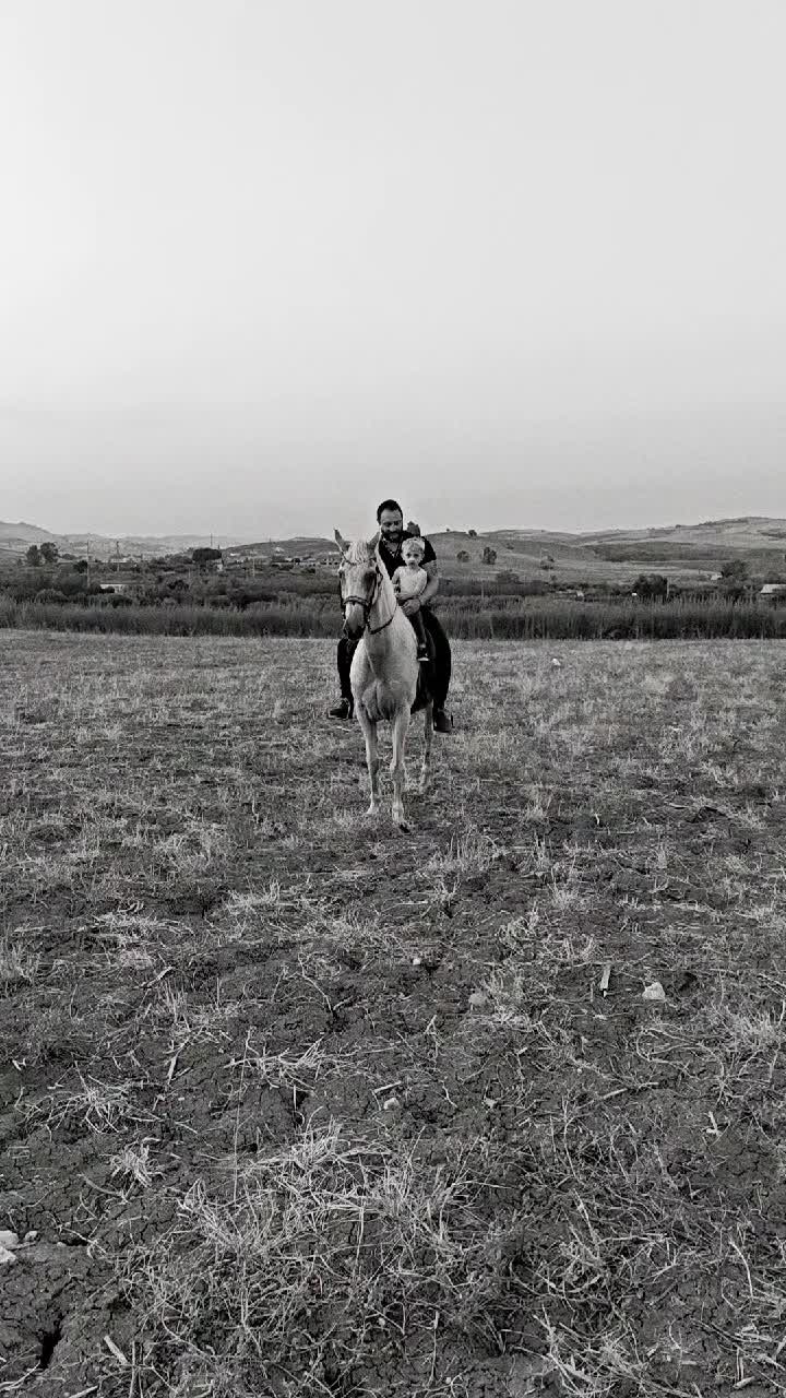 @pietrocanino