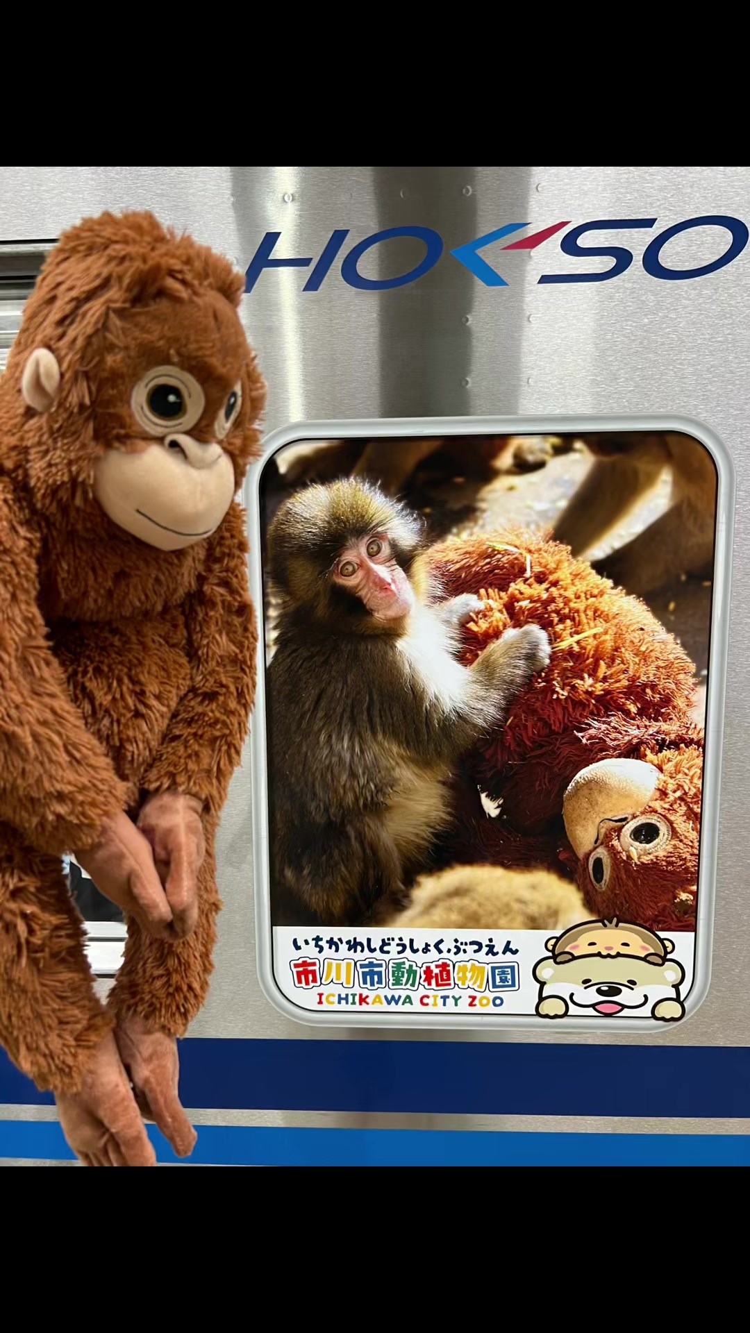 @パンチくん日記 | Punch Diary🇯🇵🐒