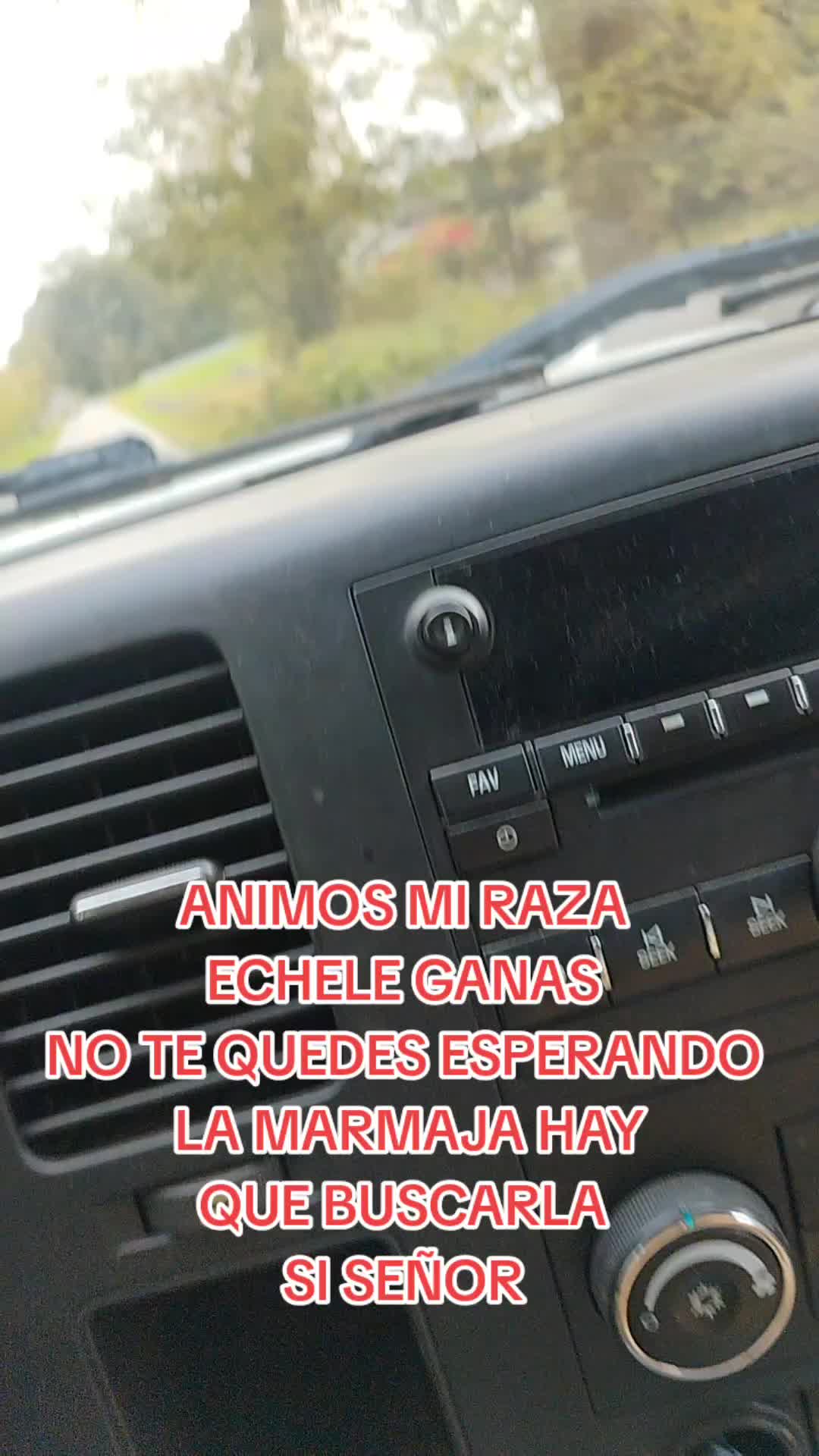 @😾🌻ELGATORIVAS79🐴🐕🐶