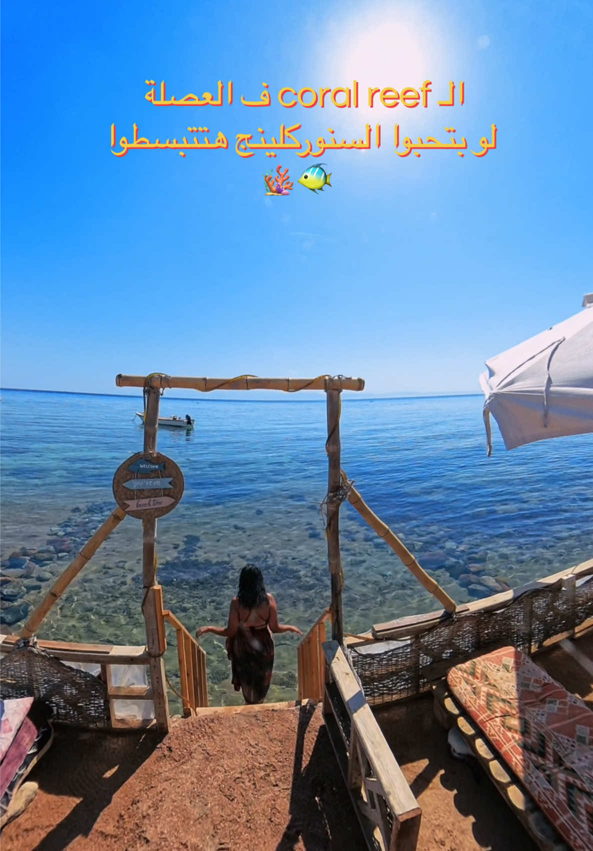 @🦌RAHMA AHMED