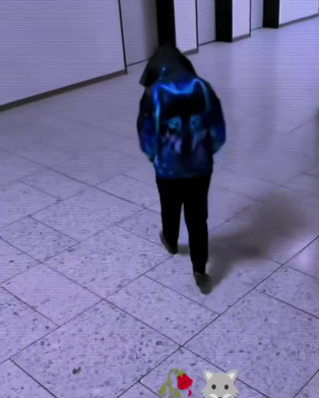 @apdui fan