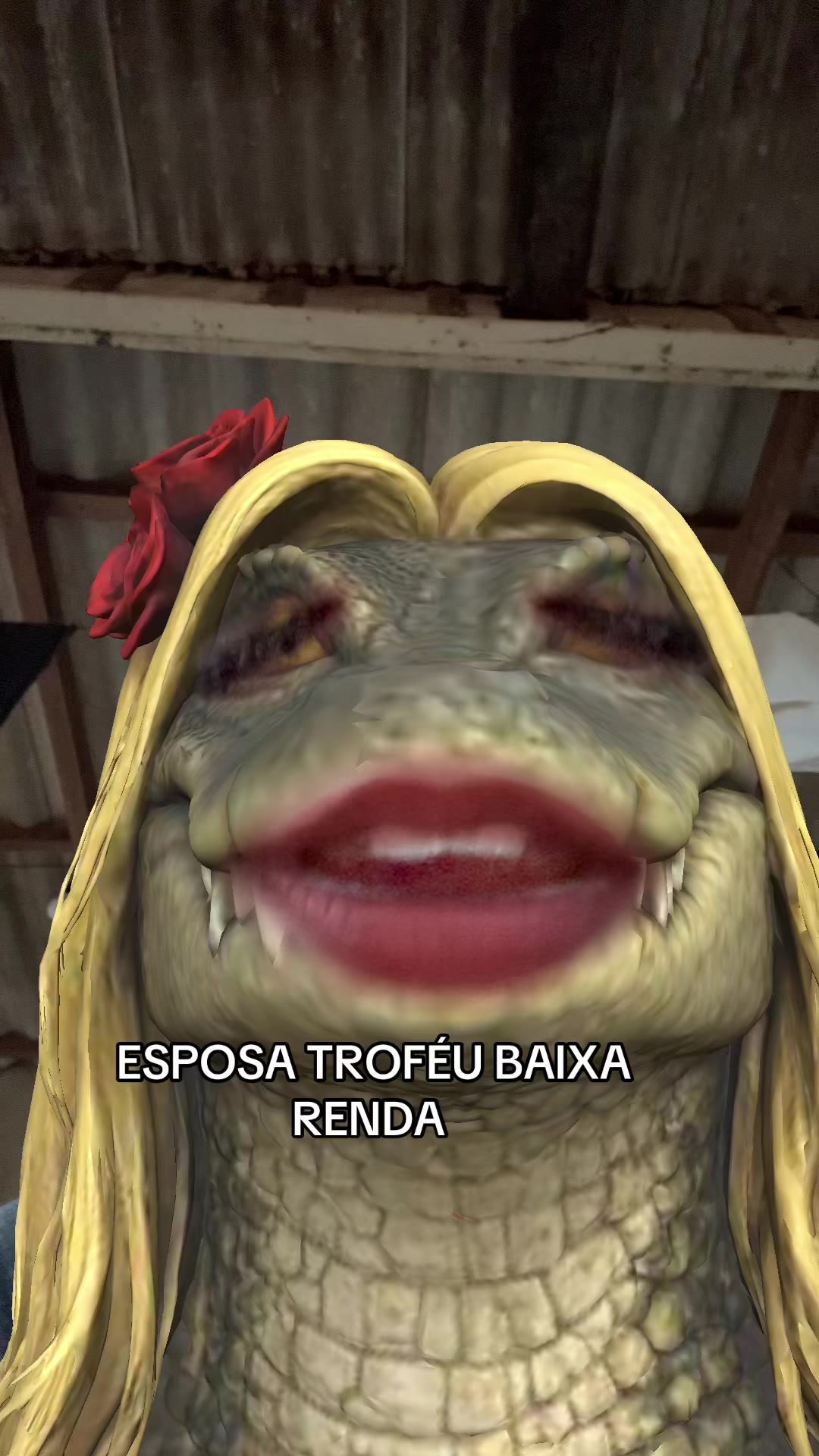 @cuca_da_mata