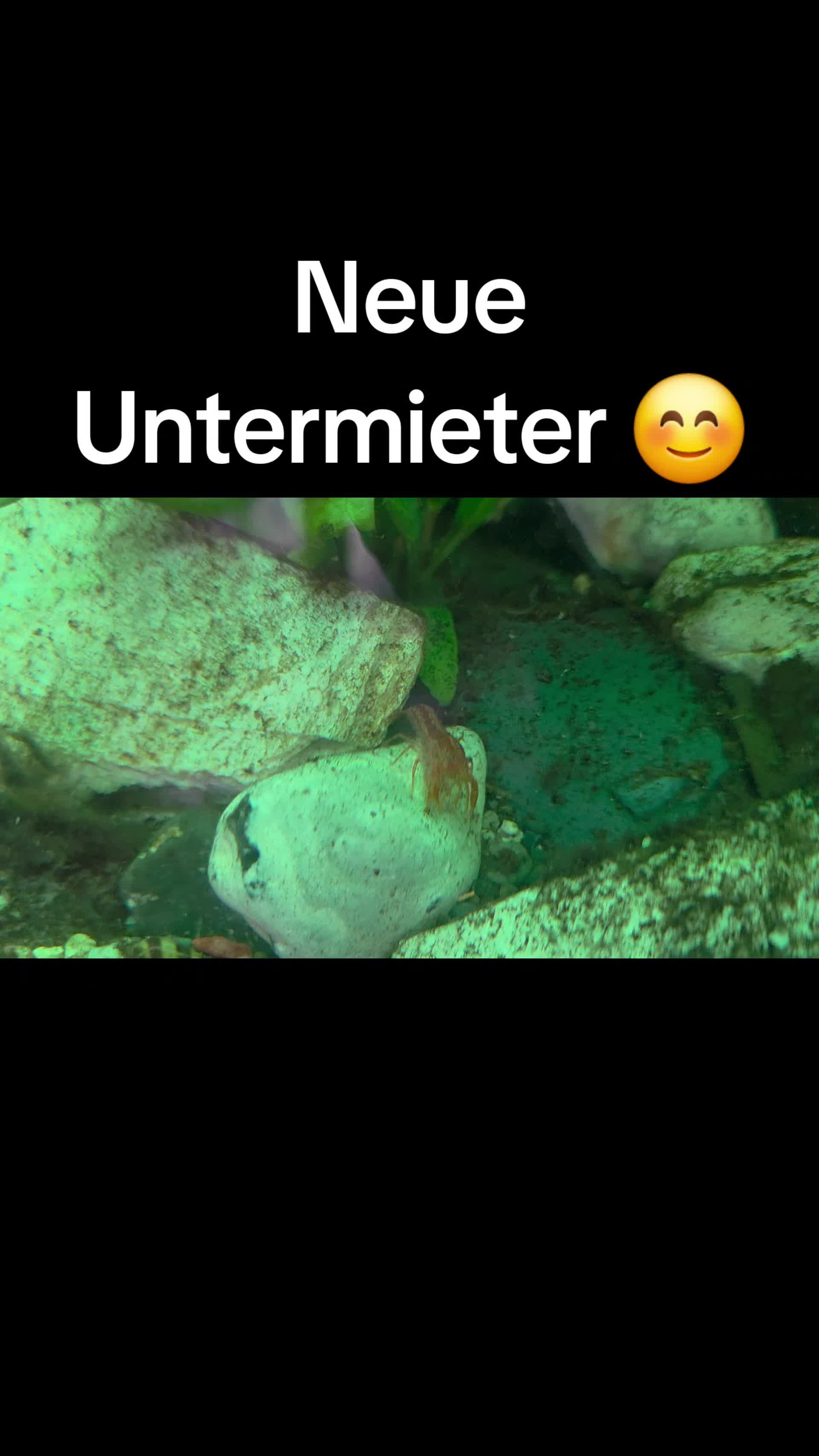 @user641443476903