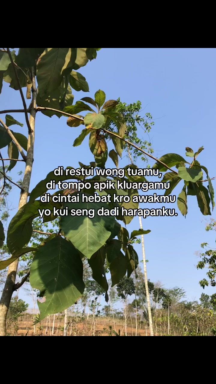@MASALALUMU