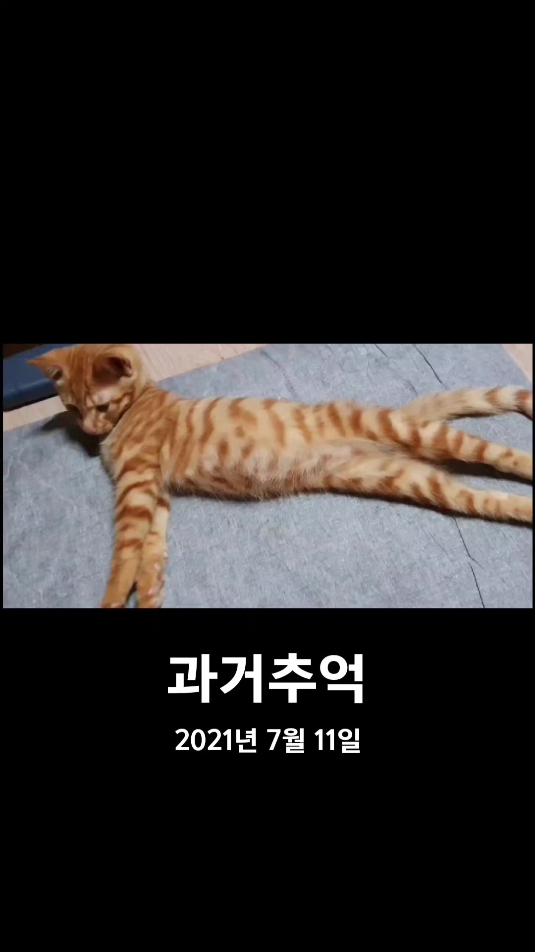 @๋์ฐ๐ถ๐