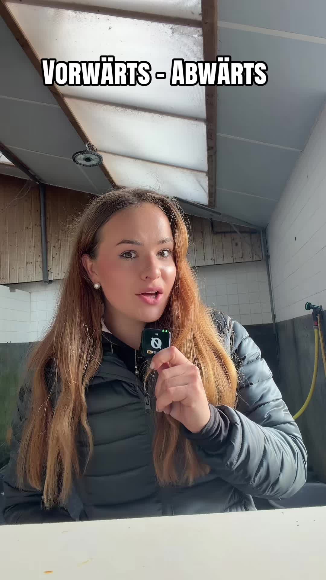 @Dailiz_horses🐴