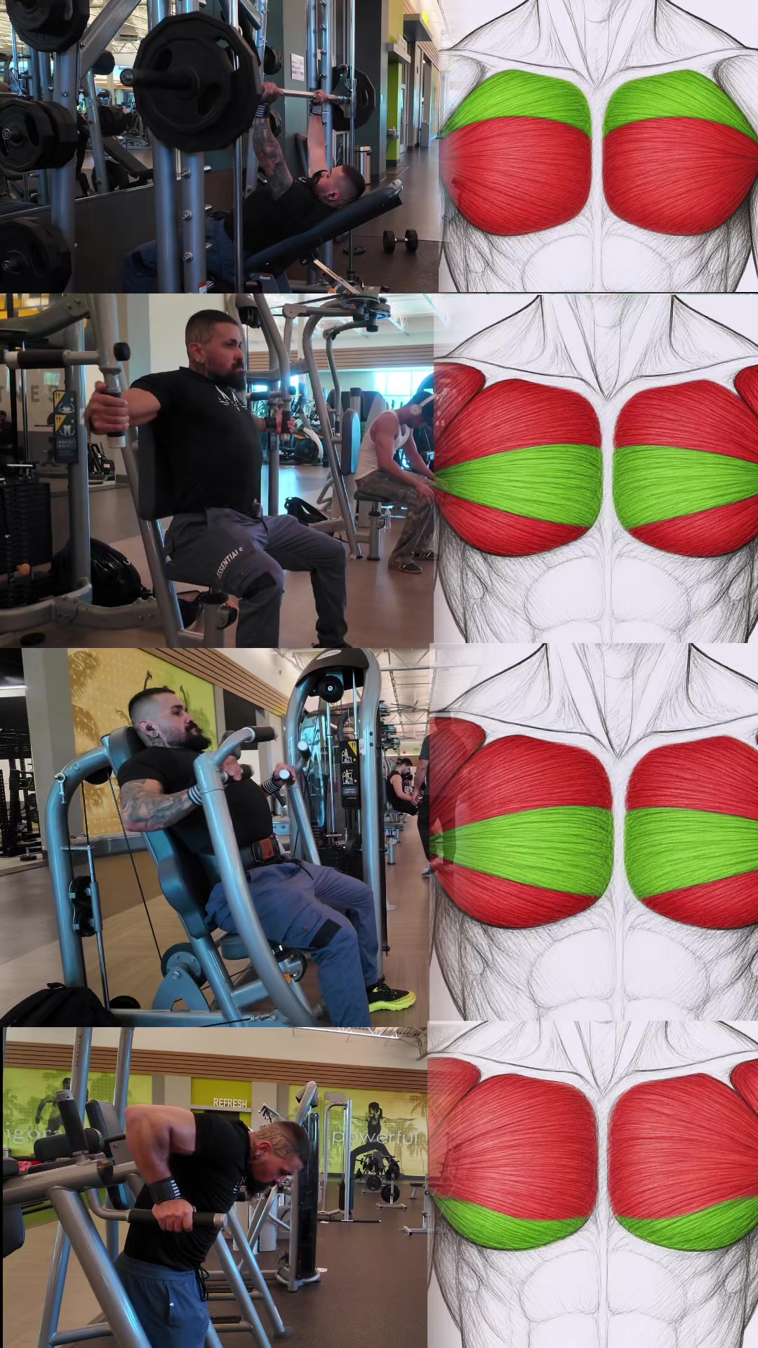 @gcarlomerida