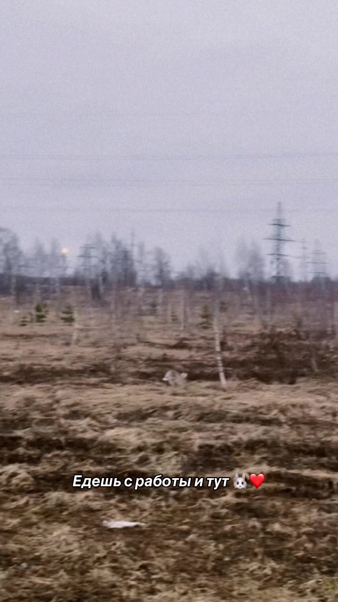 @Ю ли Я 🤍