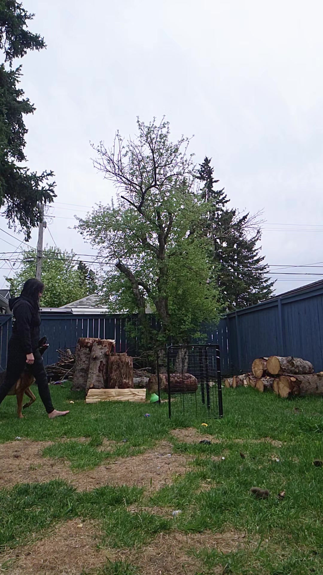 @Steph-RaisingHell.Hounds🇨🇦