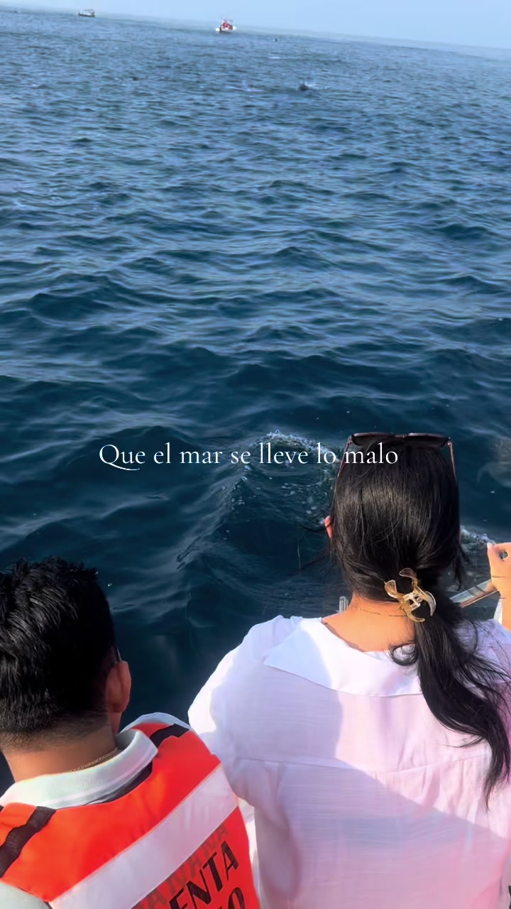 @Angel Mar 🐬🐳🎣