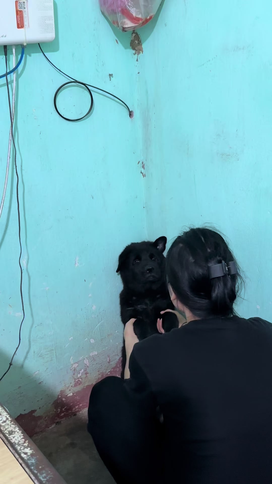 @Khi N&agrave;o Trắng Th&igrave; Đổi T&ecirc;n(Đen)