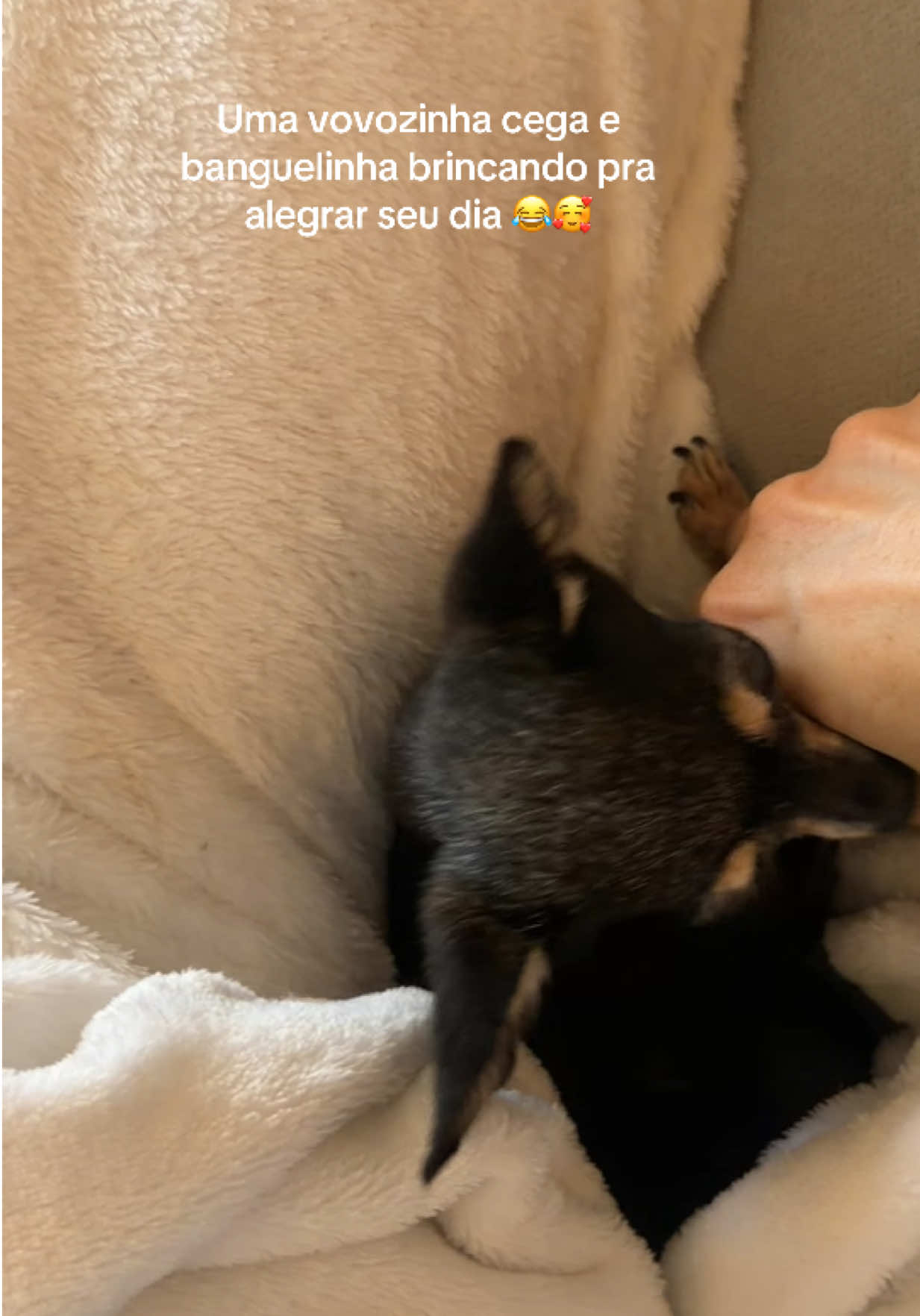 @Dra. C&aacute;ssia Simon