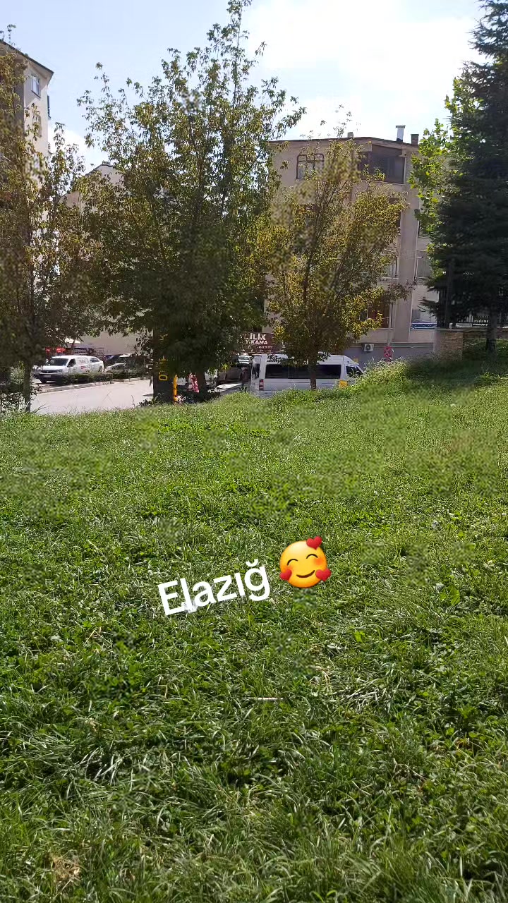 @🇹🇷Tülay🇹🇷👊