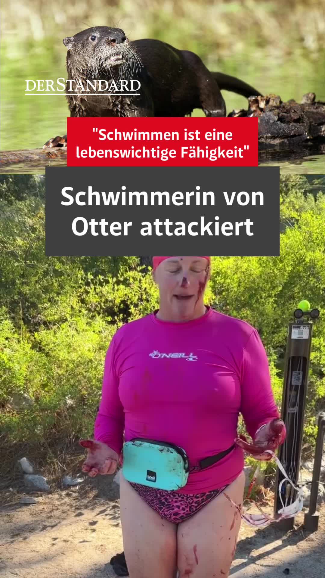 @DER STANDARD News