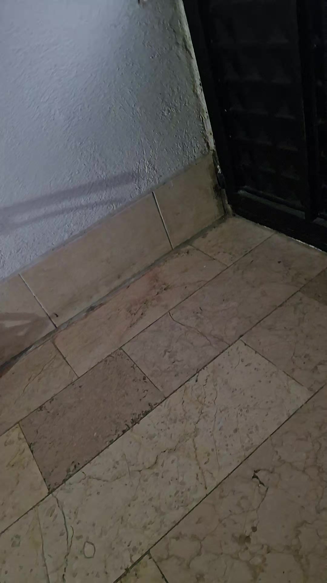 @yusuf0731