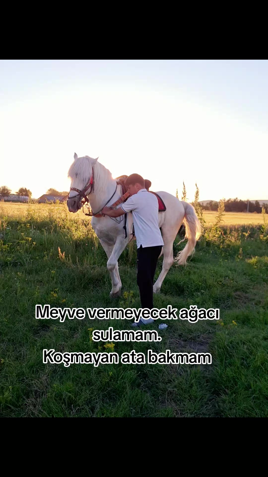 @Yusuf Ünal