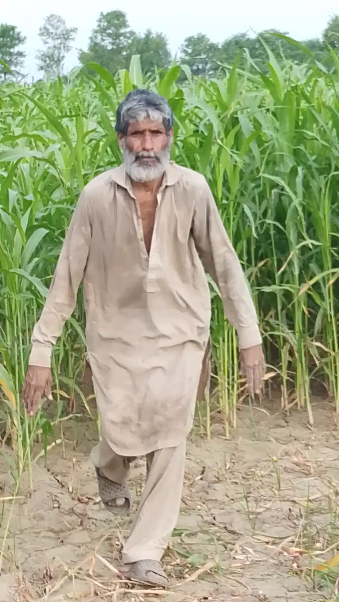 @khizargujjar7709