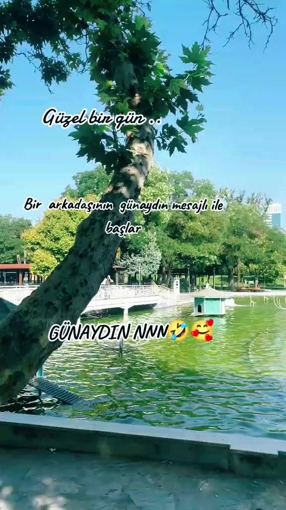 @gökçe