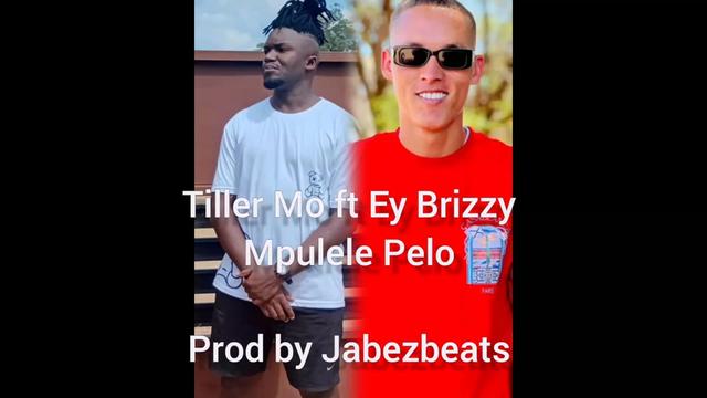 @Tiller Mo