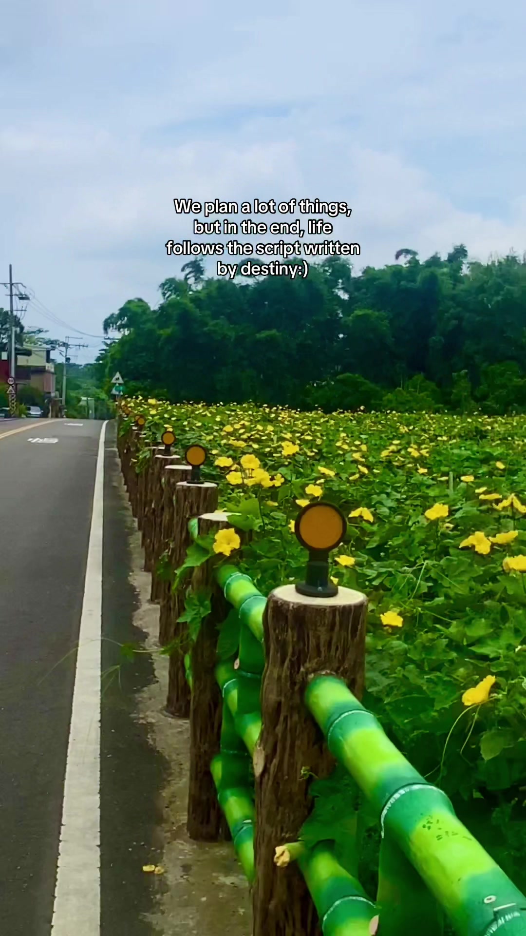 @杰麥 RIDES NI KABAYAN