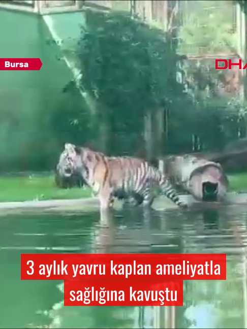 @Demir&ouml;ren Haber Ajansı