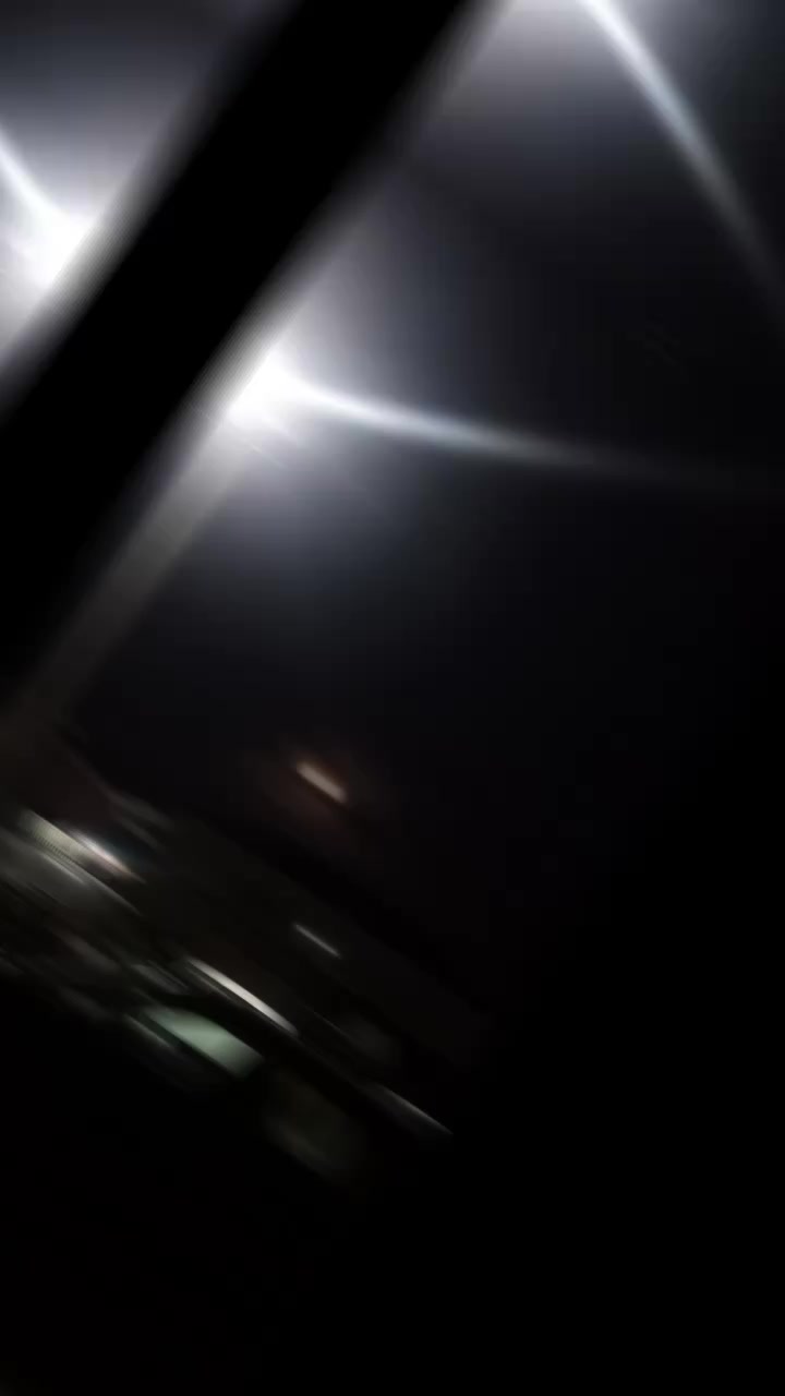@wolf22877