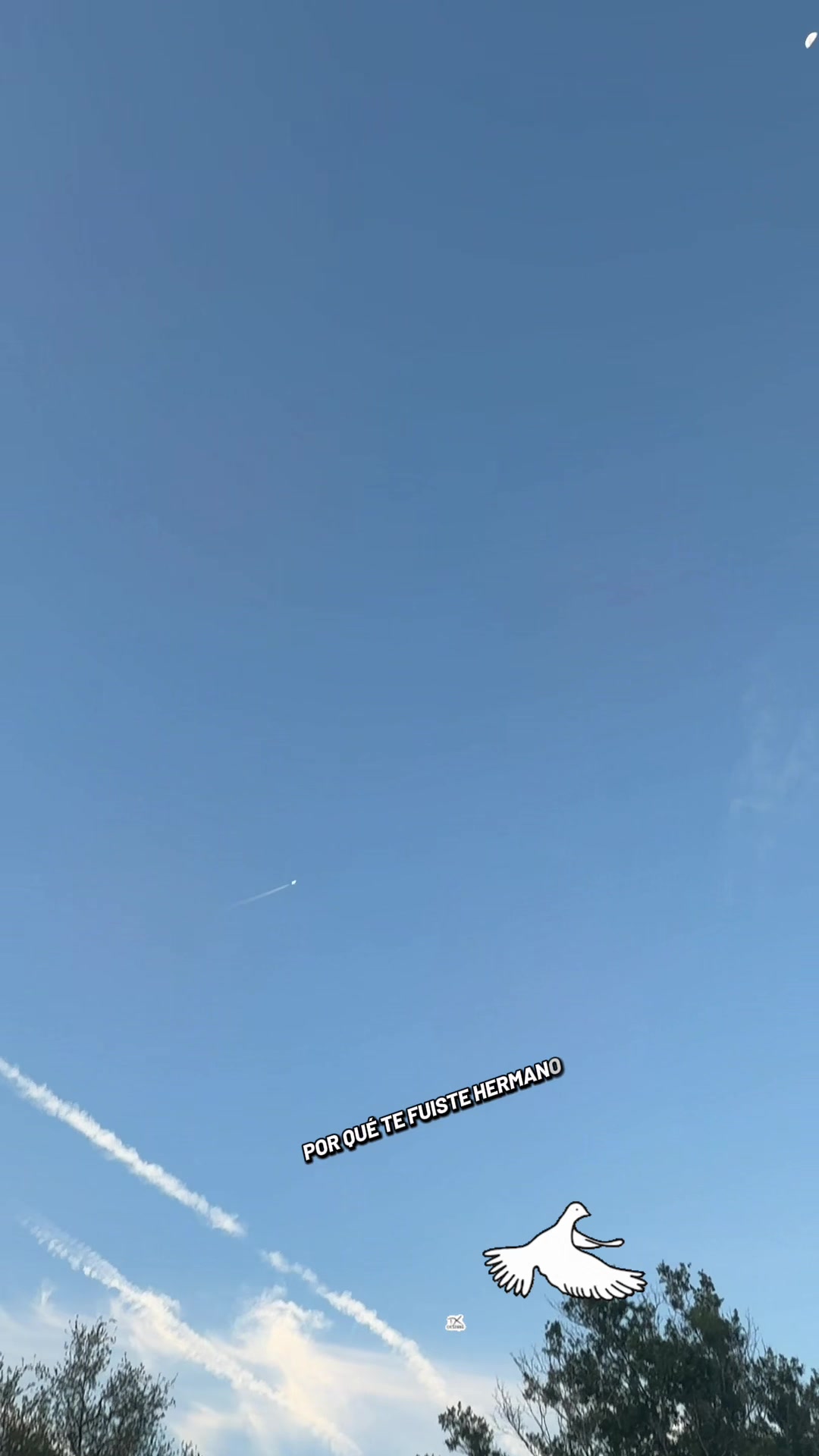 @TikTok001.com