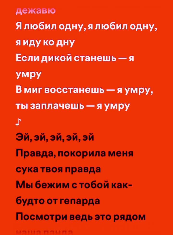 @Spotify 🎧