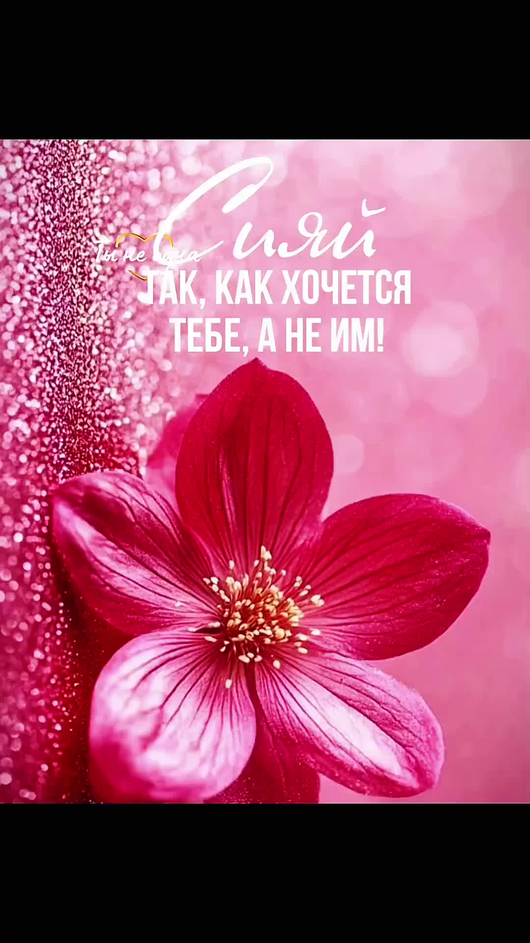 @#Цветик#