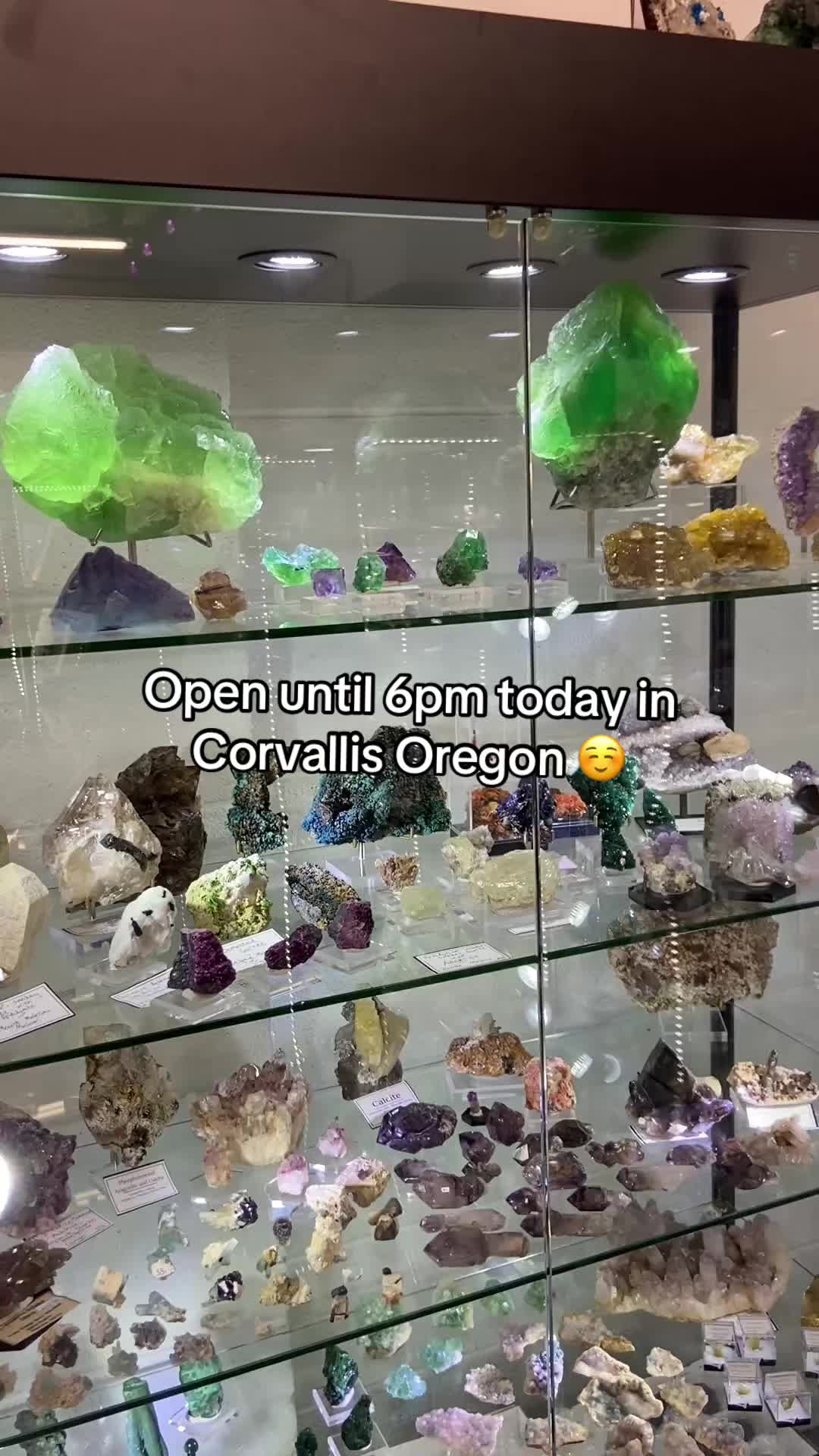 @🔮CrystalPacifica🔮
