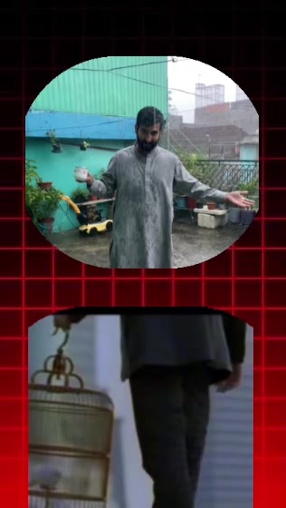 @فرحان بشیر بھٹی🇵🇰