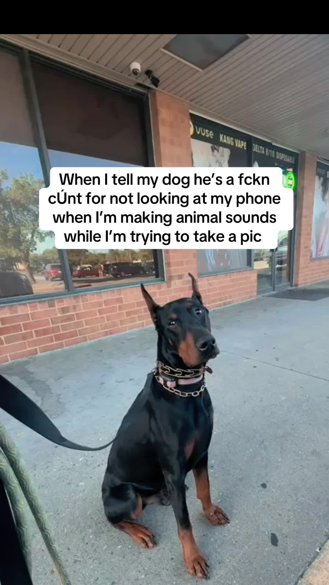 @Kiley - dog trainer