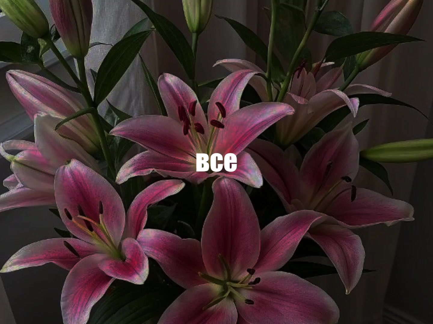 @звуки для липсингов
