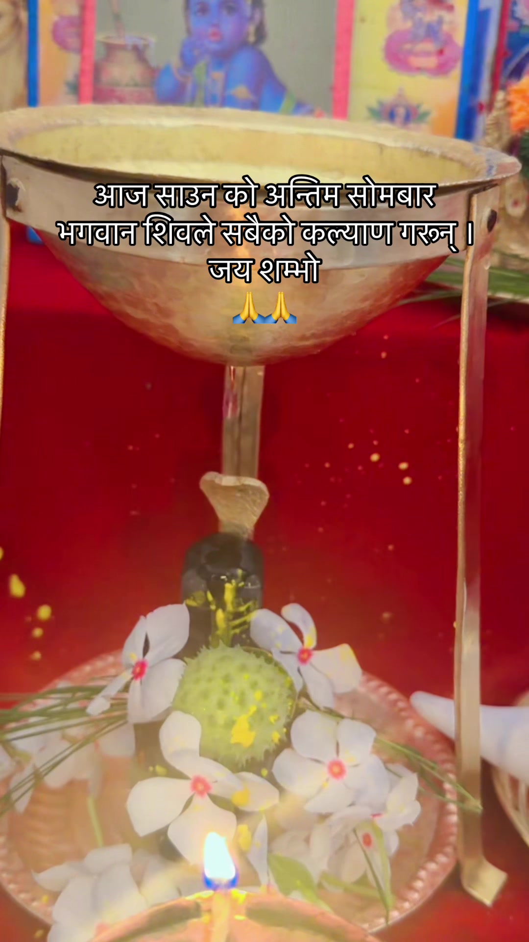 @प्रकृति कपास उधोग & फर्निसिङ