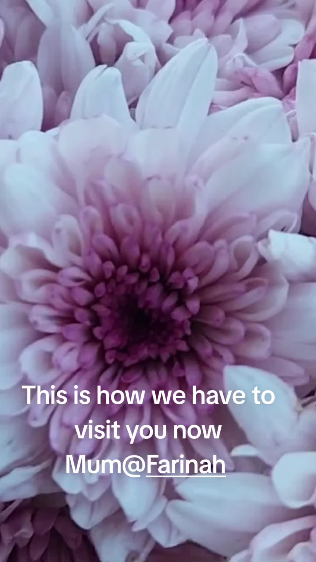 @Donna Ali