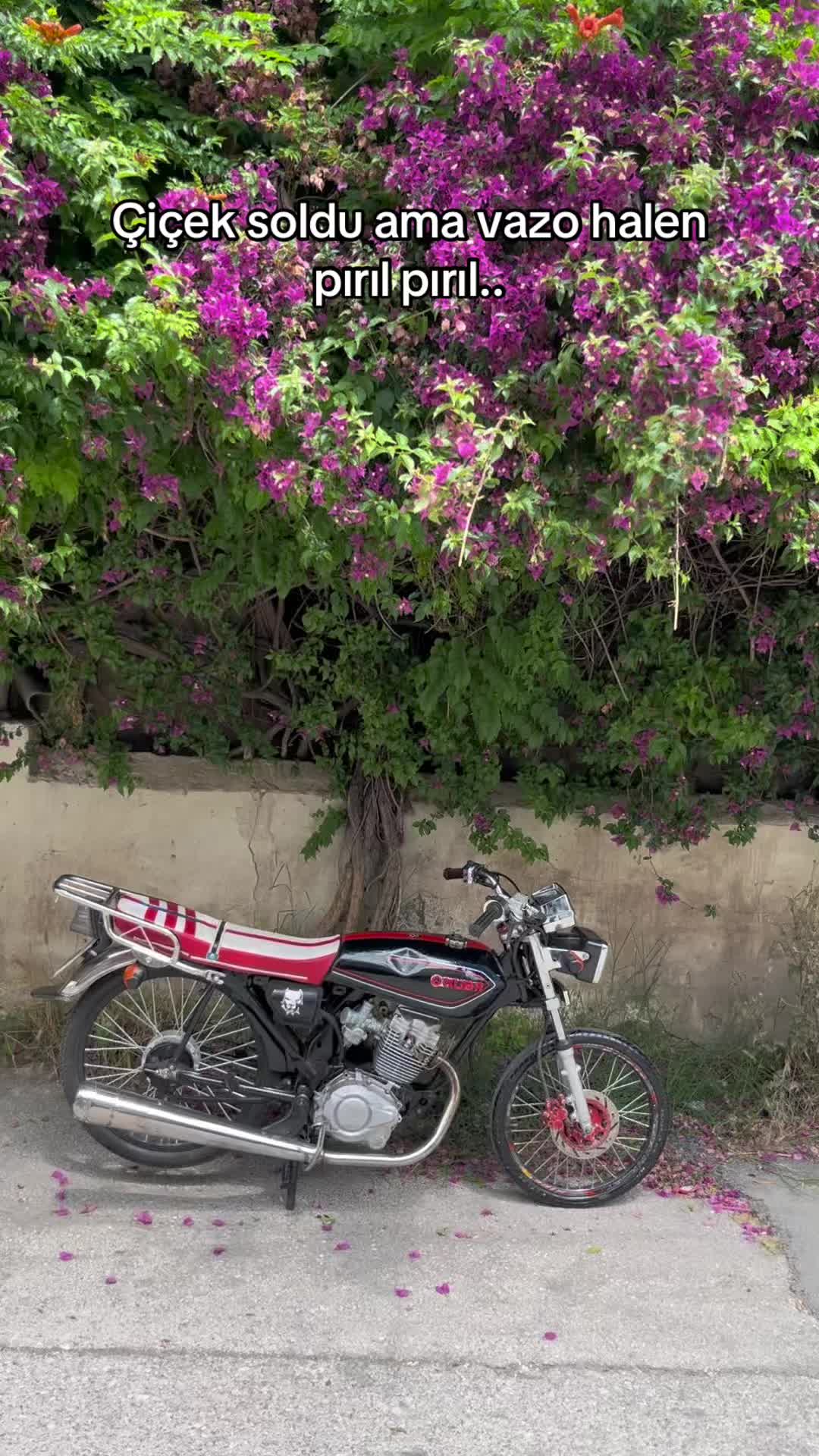 @BURAK DOĞAN 