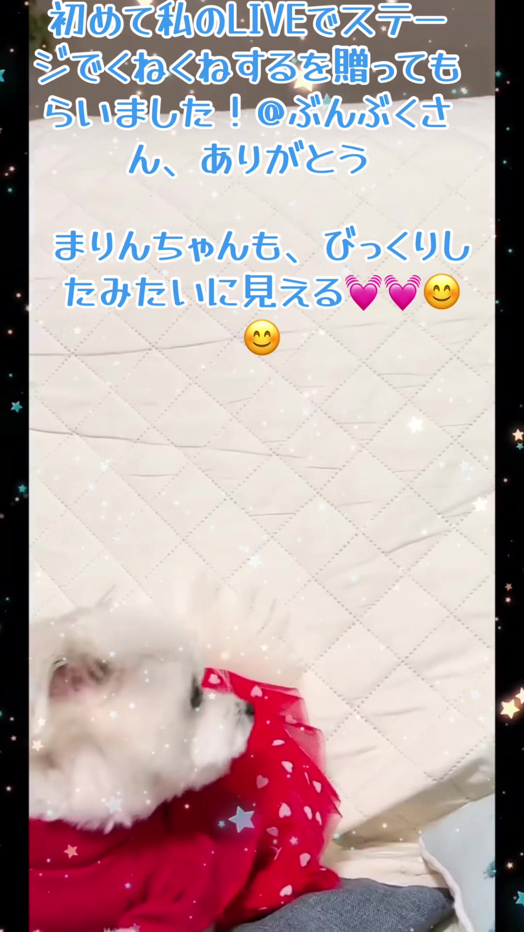 @まりん&レン/20269月21日1周年記念日💓