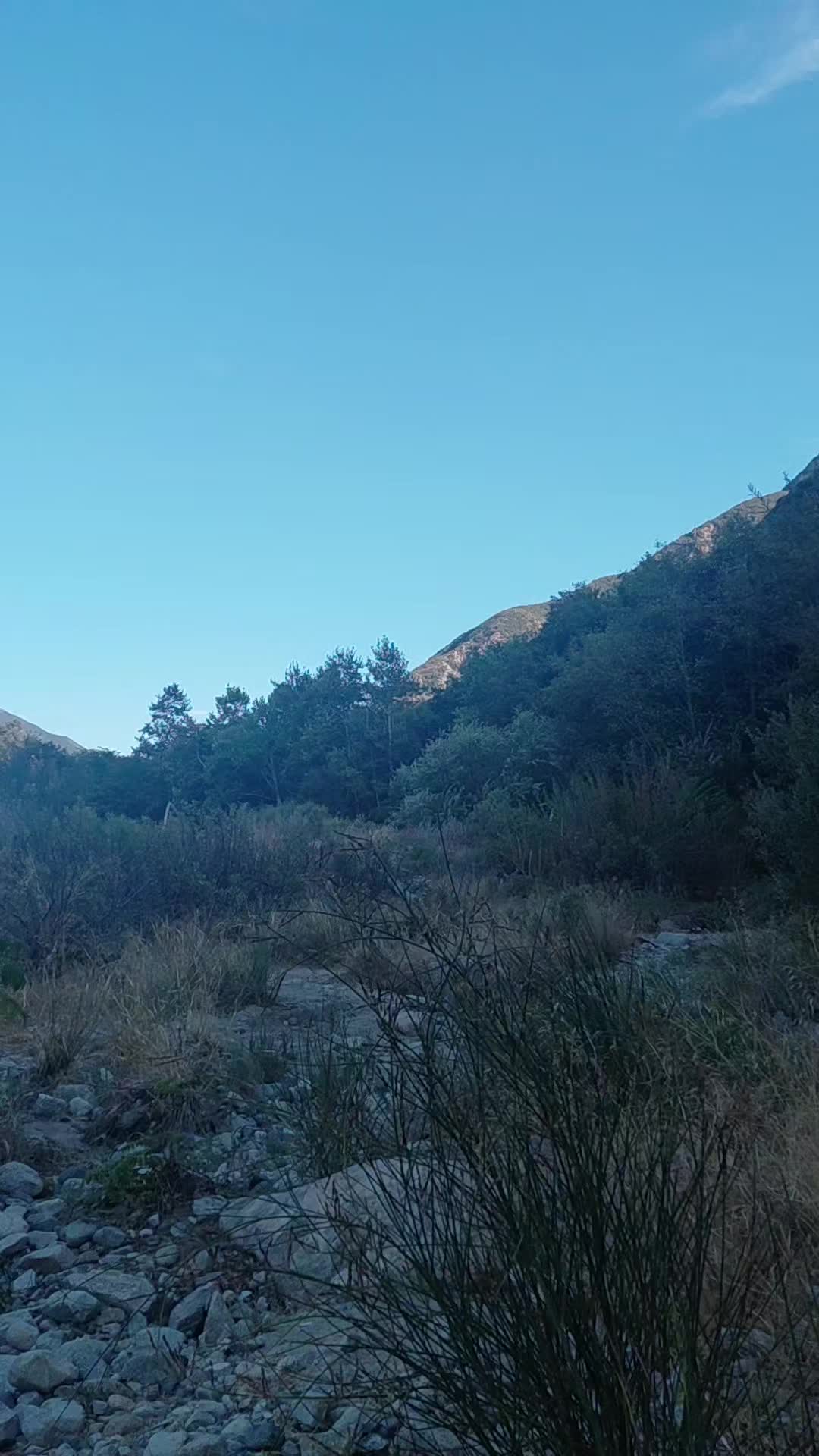 @iinstintoOsorio246