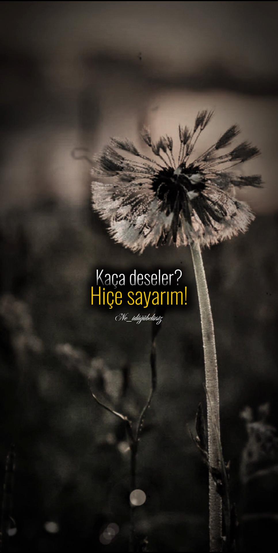 @ne_idugubelirsiz