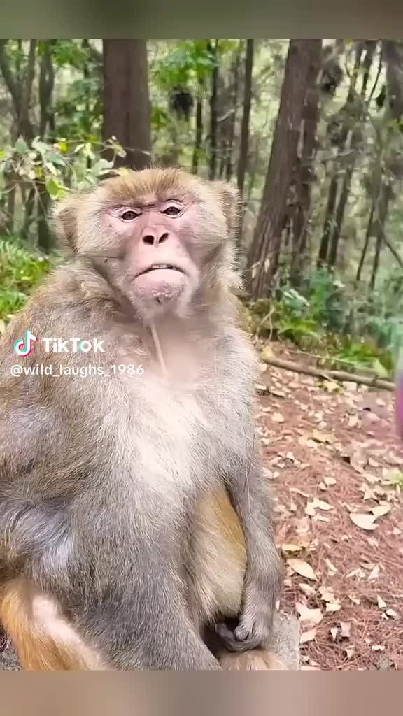 @Africa