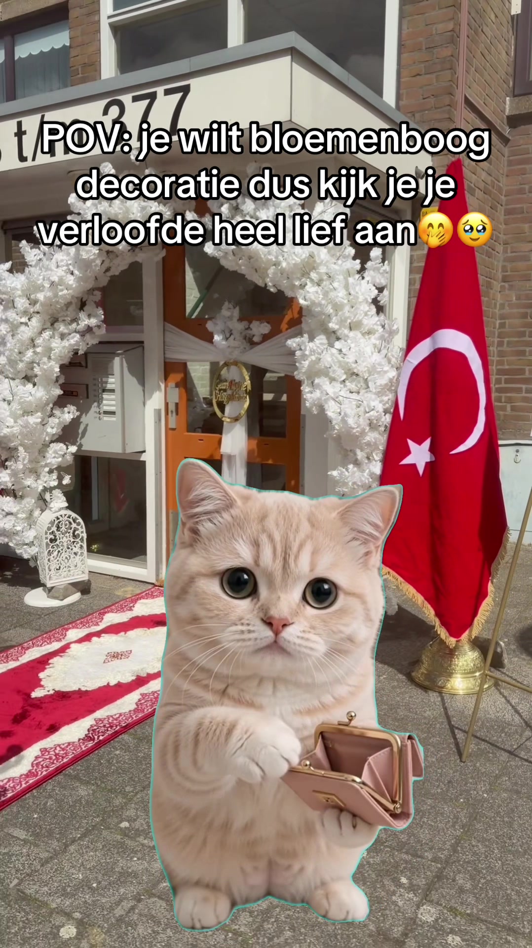 @flower.entrance.nl