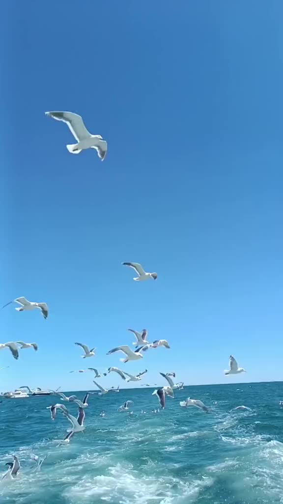 @Nakhodka