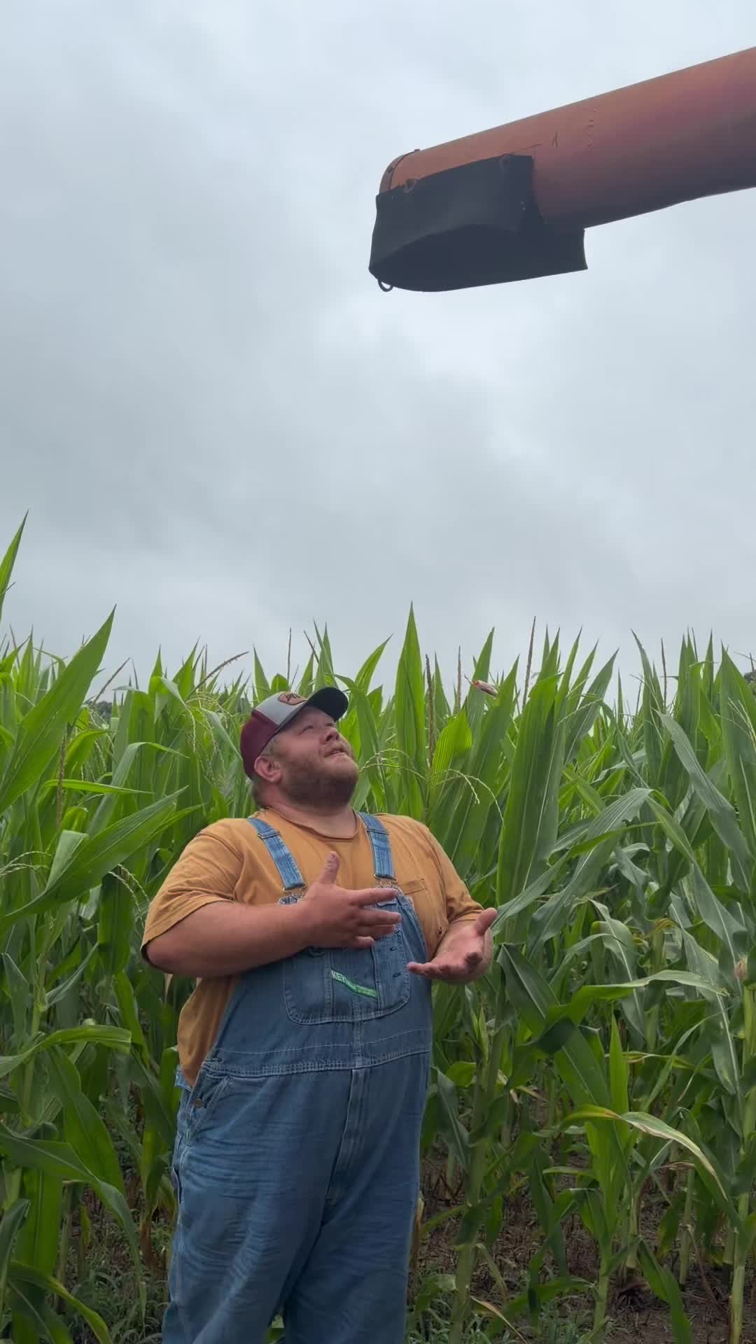 @Tarheel Farmer