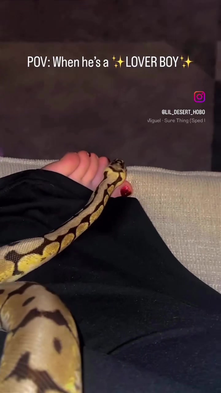 @Lil_desert_hobo